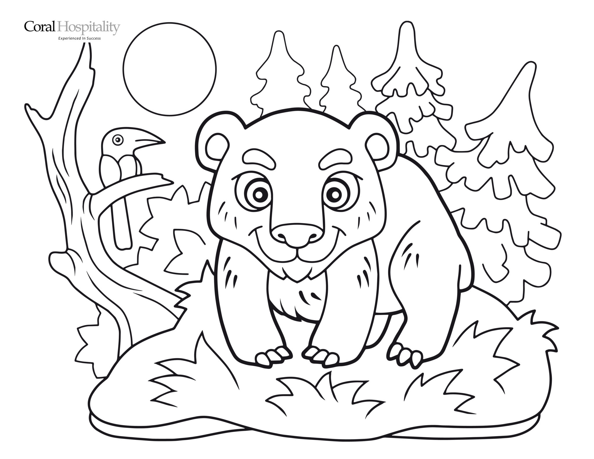 Coloring Page Bear